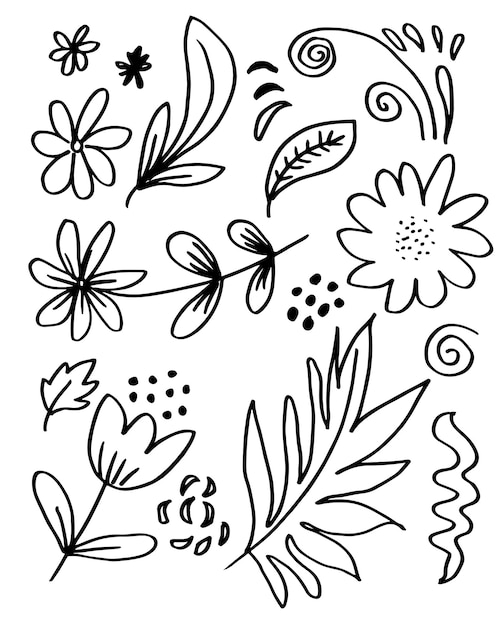 Hand drawn flower images such as bell flower chrysanthemums sunflowers cotton flowers