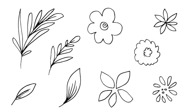 Vector hand drawn flower images such as bell flower chrysanthemums sunflowers and tropical leaves.