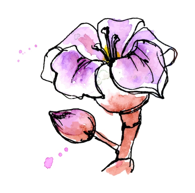 수채화와 잉크로 손으로 그린 꽃