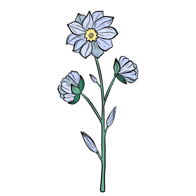 白い背景に分離された手描きの花植物の装飾的な落書きスケッチ イラスト グリーティング カード結婚式招待状ファブリック カラフルなベクトル花の要素