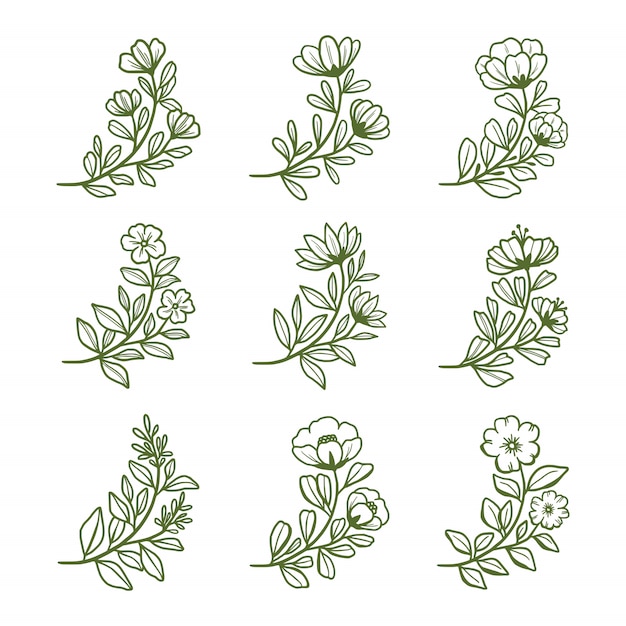 hand drawn flower and leaf branch elements