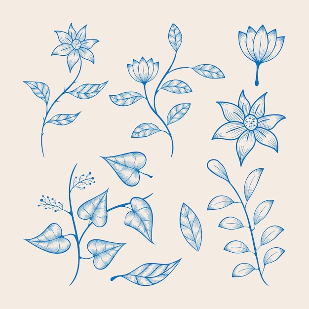 Hand drawn flower and leaf collection