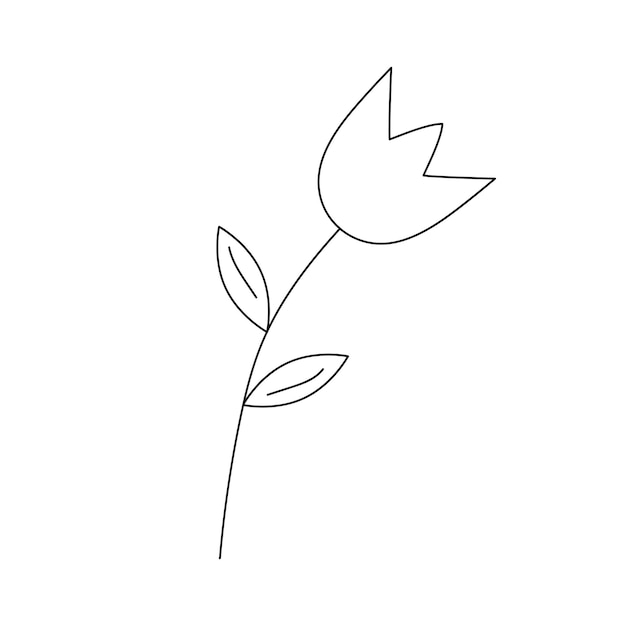 라인 아트 낙서 스타일의 손으로 그린 꽃 식물 장식 요소
