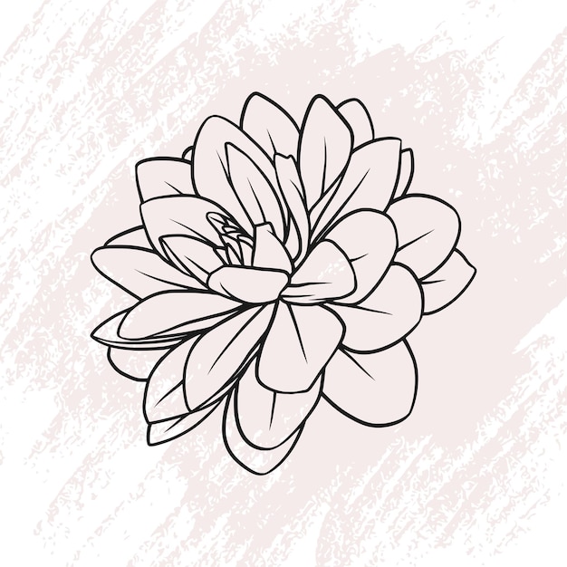 Hand drawn flower in line art style a