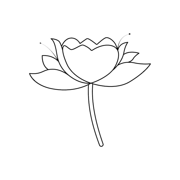 벡터 손으로 그린 꽃 연꽃 한 라인 아트 그림