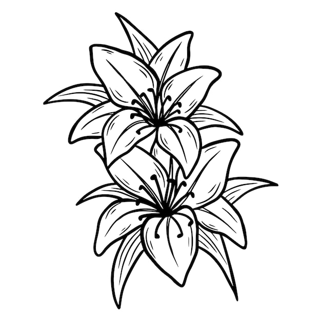 Fiore disegnato a mano rose foglie naturali adesivo isolato nero botanico line art illustrazione