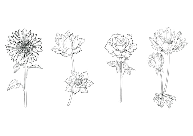 Vector hand drawn flower set