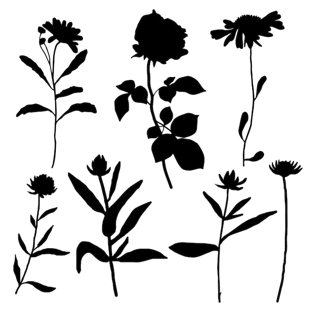 Vector hand drawn flower silhouettes illustration