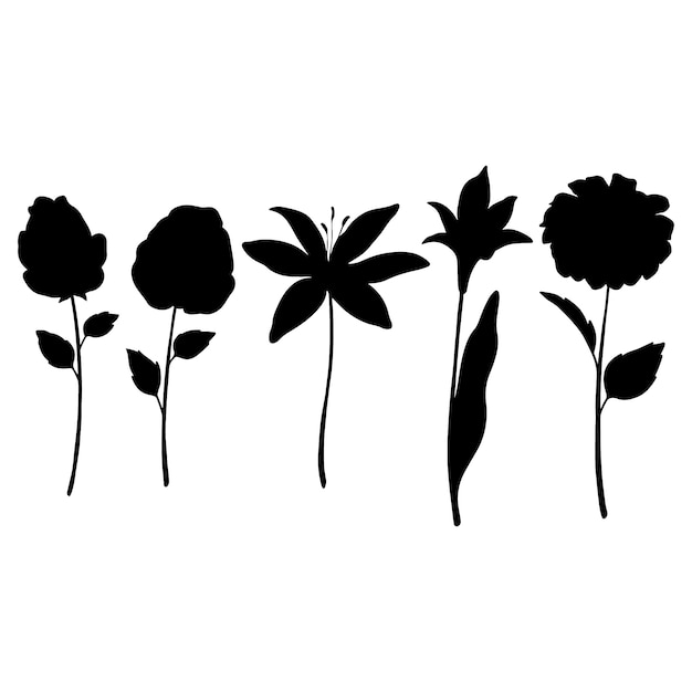 Vector hand drawn flower silhouettes illustration