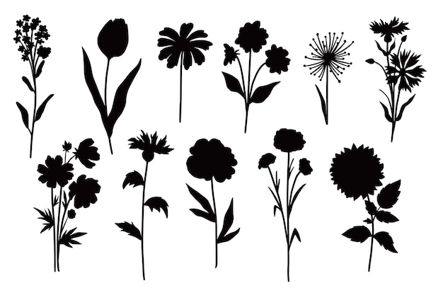 Vector hand drawn flower silhouettes