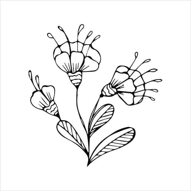 Hand drawn flower single doodle element for coloring black and white vector image