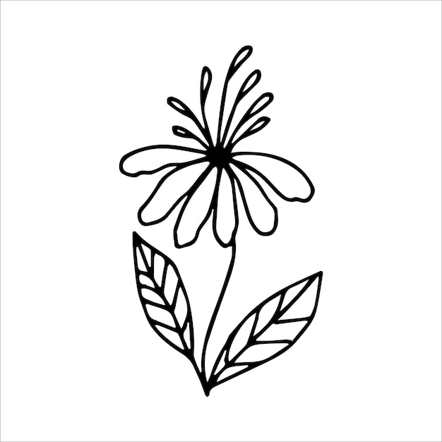 Hand drawn flower single doodle element