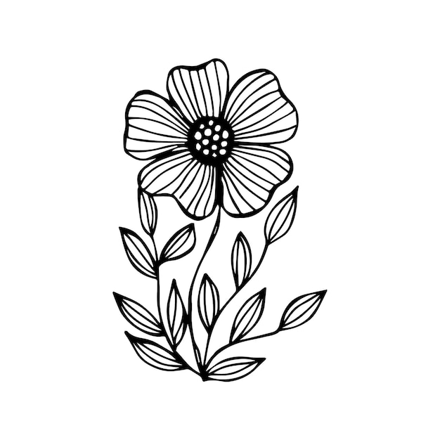 Hand drawn flower single element for coloring