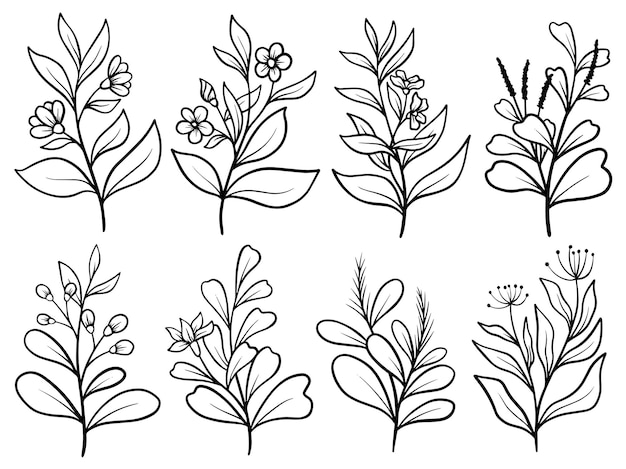 Hand drawn flower sketch line art illustration set