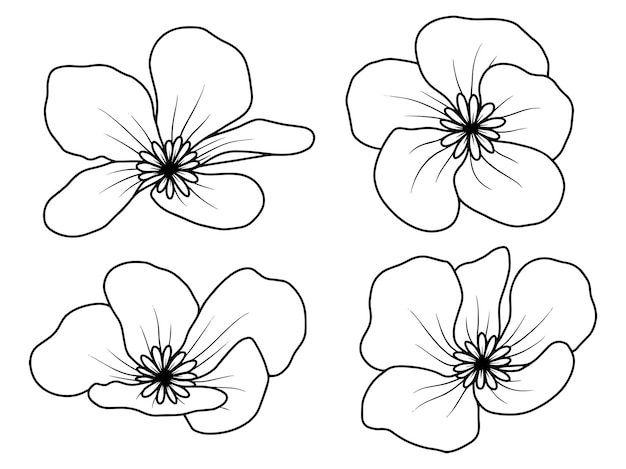 Hand drawn flower sketch line art illustration