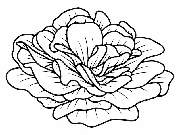 Hand drawn flower sketch line art