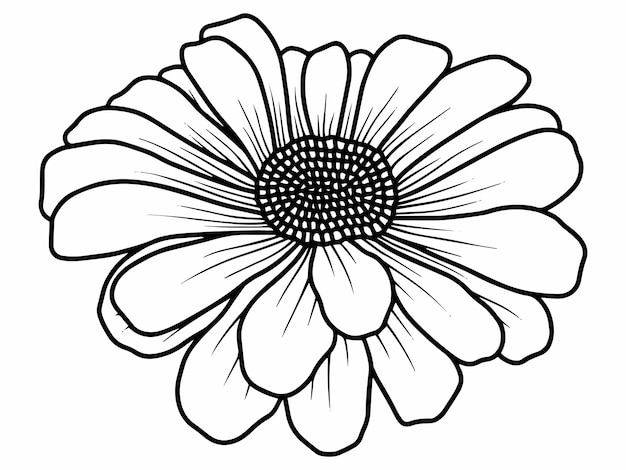 Hand drawn flower sketch line art