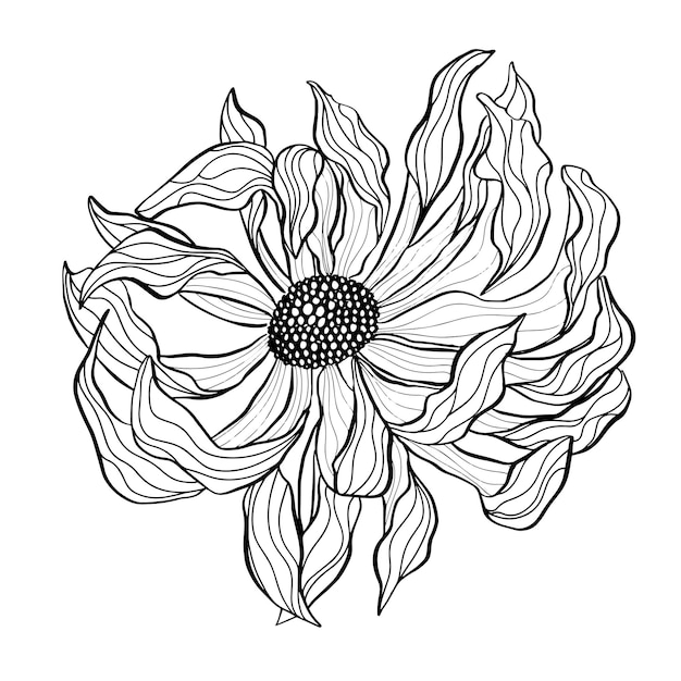 Hand drawn flower tattoo vector illustration