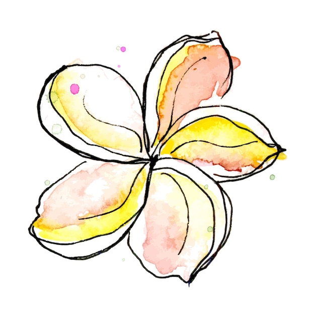 Hand drawn flower in watercolor and ink