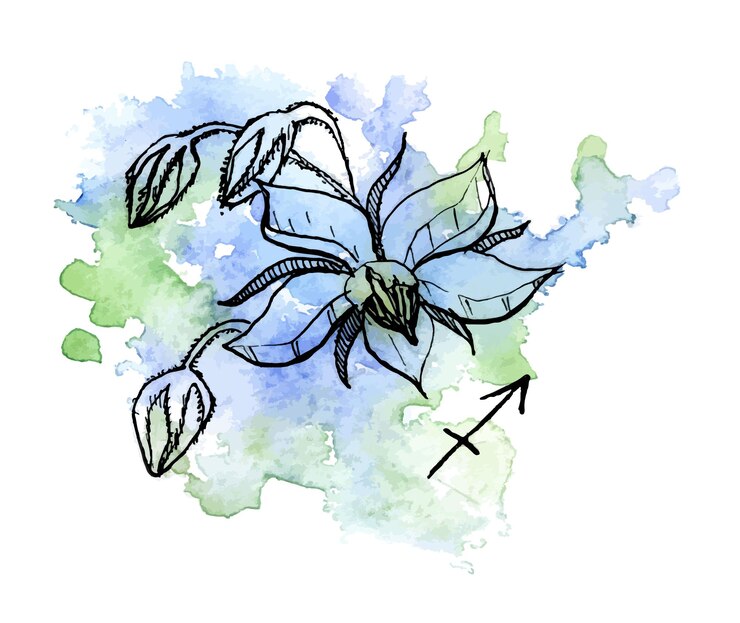 वेक्टर hand drawn flower in watercolor and ink