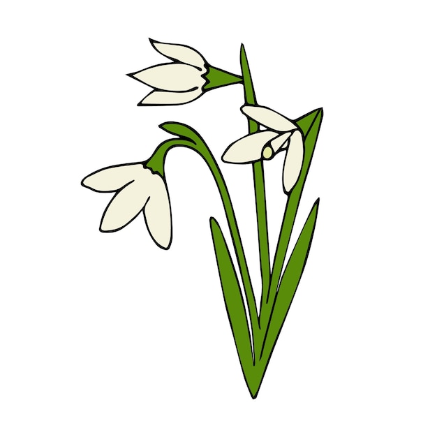 Vector hand drawn flower