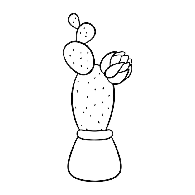 Hand drawn flowering cactus in pot