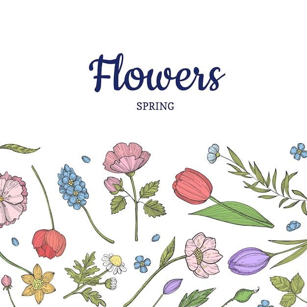 hand drawn flowers background