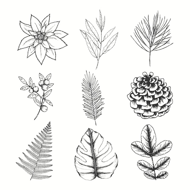 Hand drawn flowers, berries leaves and pine cones