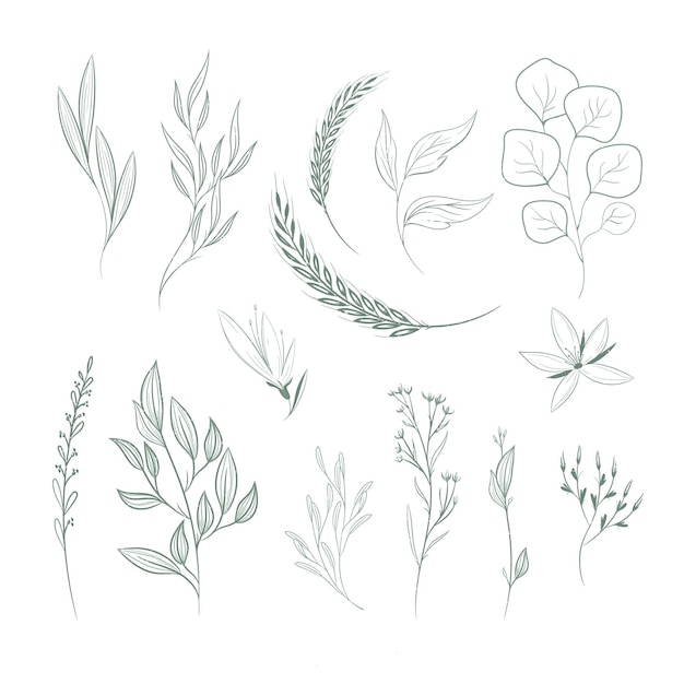 Vector hand drawn flowers collection