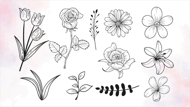 Hand drawn flowers collection