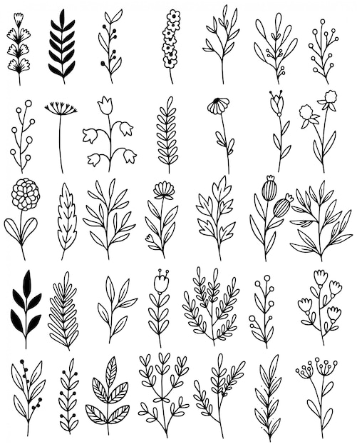 Vector hand drawn flowers doodle