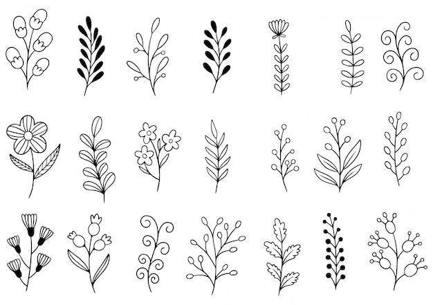 Vector hand drawn flowers doodle