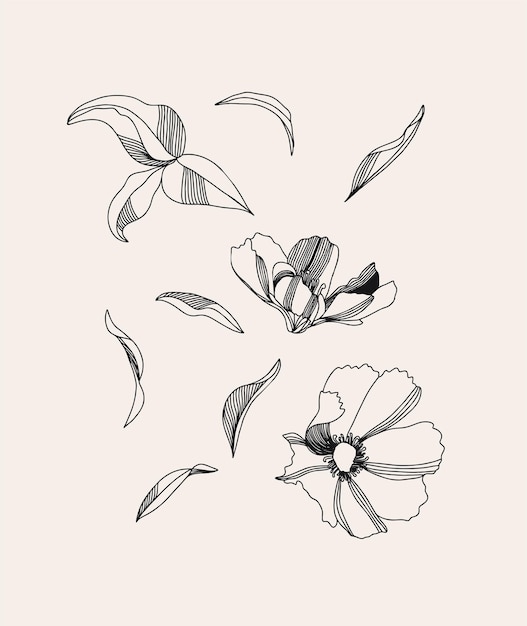 Hand drawn flowers elements Trendy collage pattern Fashionable template for design