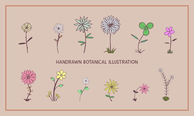 Hand drawn flowers illustration.Different colors and styles.