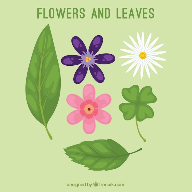 Vector hand drawn flowers and leaves