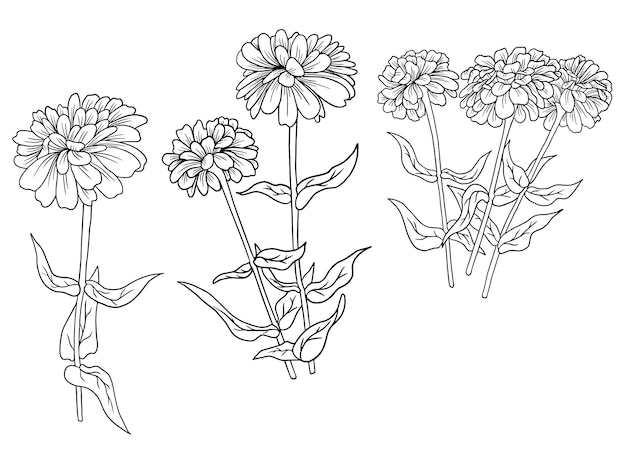 Vector hand drawn flowers line art collection