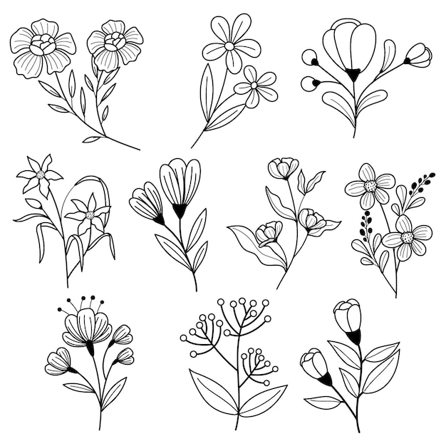 Vector hand drawn flowers outline