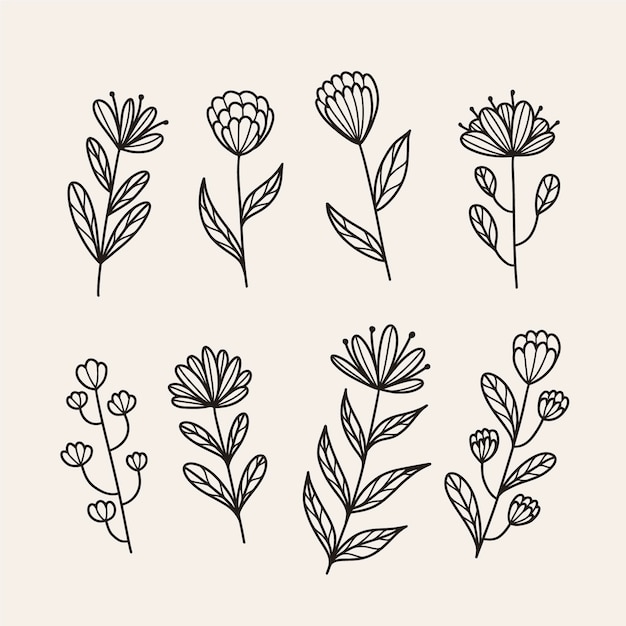 Vector hand drawn flowers pack