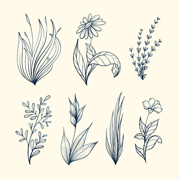 Vector hand drawn flowers pack