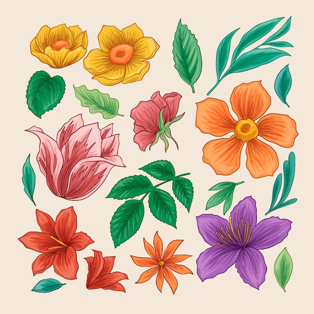 Hand drawn flowers pack