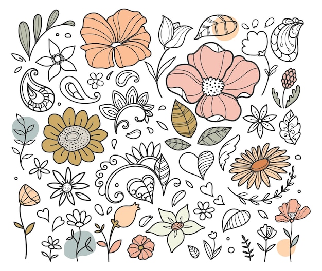 Vector hand drawn flowers set