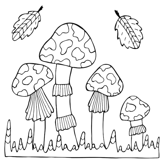 격리 된 흰색 배경에 손으로 그린 비행 agaric 버섯 어린이와 성인을위한 색칠하기 책