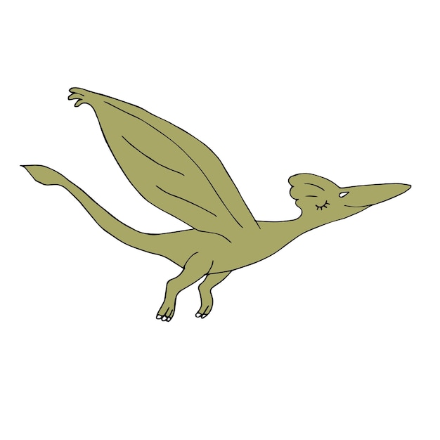 Hand drawn flying pterodactyl dinosaur