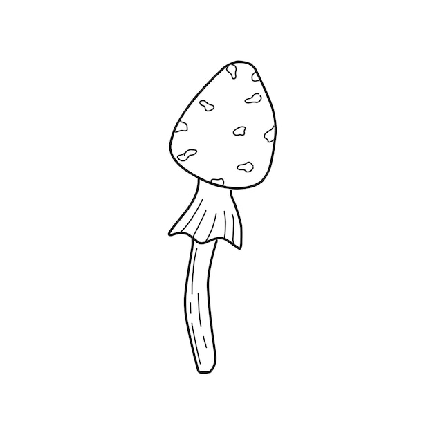 Vector hand drawn forest mushroom in doodle style