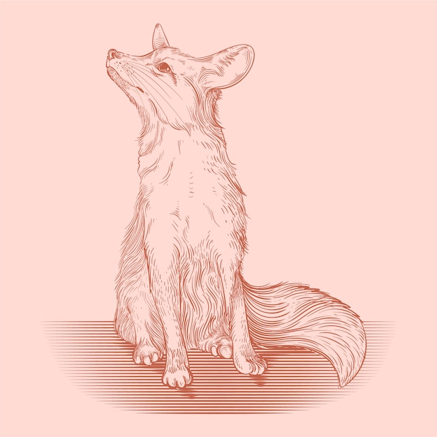 Vector hand drawn fox outline illustration