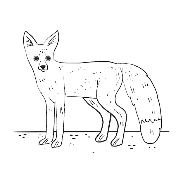 Vector hand drawn fox outline illustration