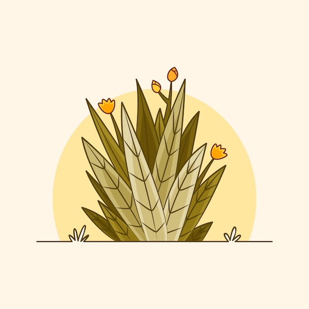 Vector hand drawn frailejon plant illustration