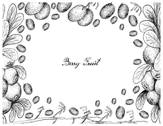 Vettore cornice disegnata a mano di giglio di lino e mirtillo mirtillo