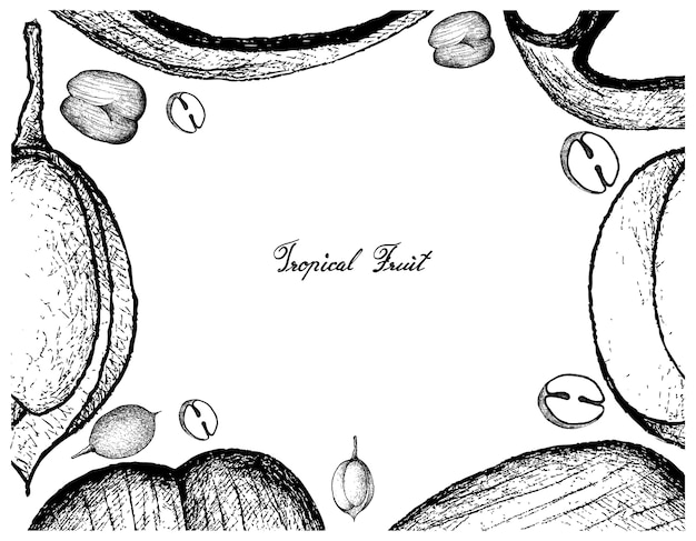 Hand Drawn Frame of Double Coconut and Mamoncillo Fruits