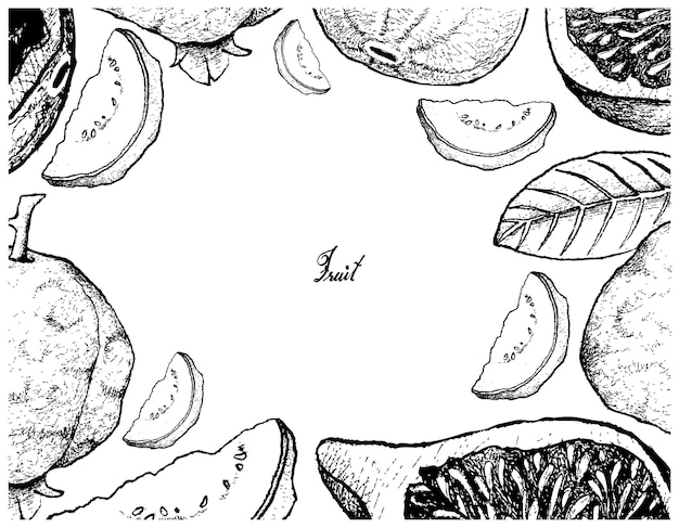 Vector hand drawn frame of fresh fig and guava